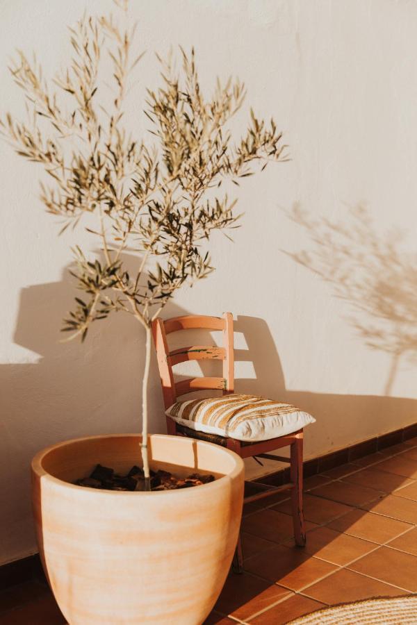 Casademeli ¡Garden And 5 Min Walk To The Beach! Διαμέρισμα Λας Πλάγιας Εξωτερικό φωτογραφία